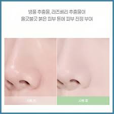 Lip Big Personal Tone Correcting Blur Pact 5.5 g (Green)