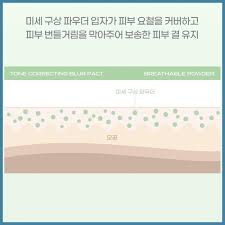 Lip Big Personal Tone Correcting Blur Pact 5.5 g (Green)